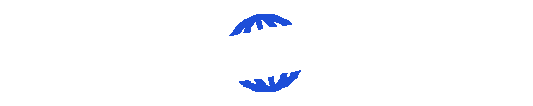 EZ Icon