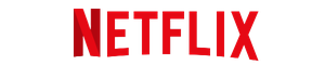 Netflix Icon