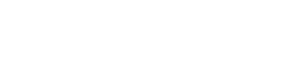 sendvid Icon