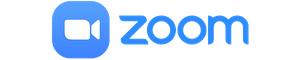 Zoom Icon